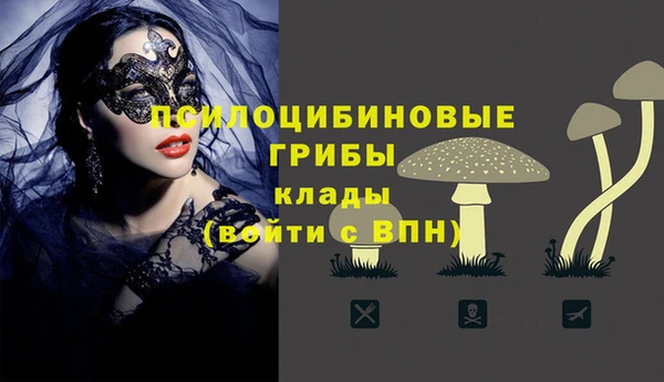 COCAINE Абаза