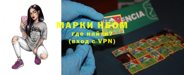 стаф Анжеро-Судженск