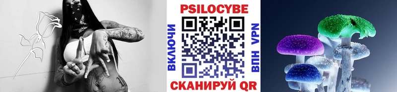 Псилоцибиновые грибы Psilocybe купить наркоту Яранск